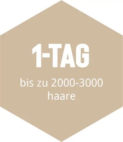 hajbeültetés 1 napos