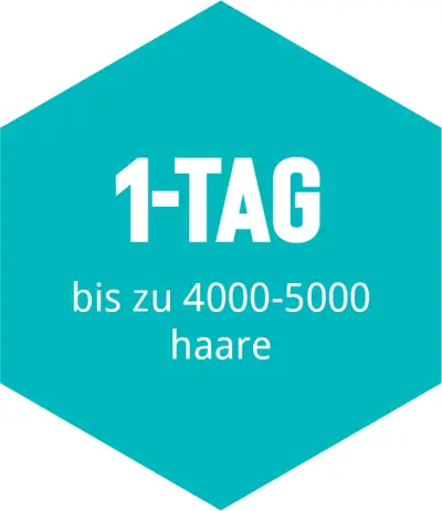 hajbeültetés 1 napos