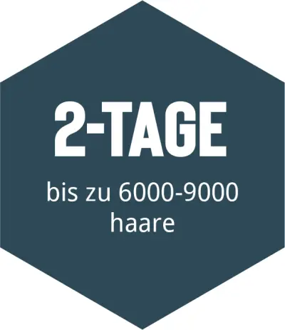 hajbeültetés árak