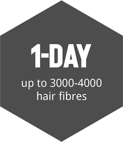 hajbeültetés 1 napos