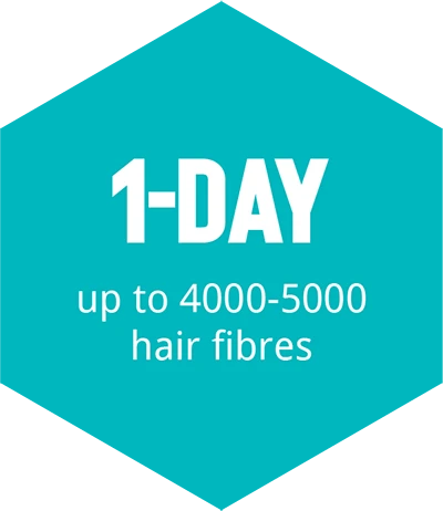 hajbeültetés 1 napos