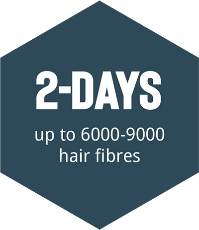 hajbeültetés árak