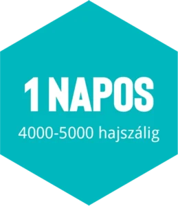 hajbeültetés 1 napos