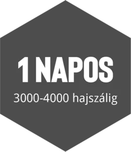 hajbeültetés 1 napos