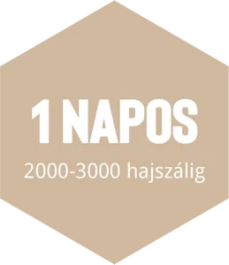 hajbeültetés 1 napos