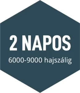 hajbeültetés árak