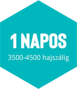 hajbeultetes-csomag-l hajbeültetés csomag