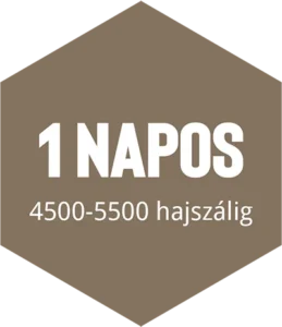 hajbeultetes-csomag-l+ hajbeültetés csomag