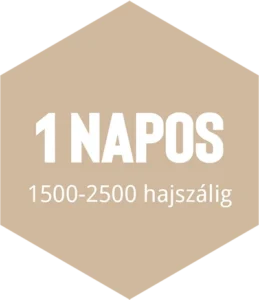 hajbeultetes-csomag-s hajbeültetés csomag